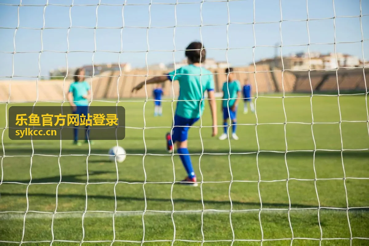 乐鱼官方网站登录密码找回流程演示